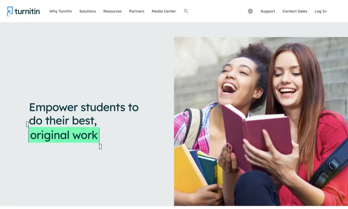 Turnitin screenshot - Writing interface and features overview